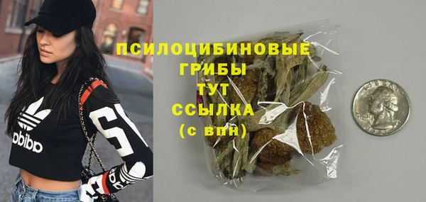 мяу мяу мука Гусиноозёрск