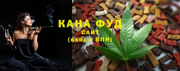 ECSTASY Гусь-Хрустальный