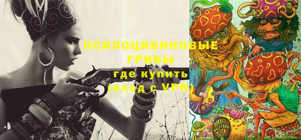 мяу мяу мука Гусиноозёрск