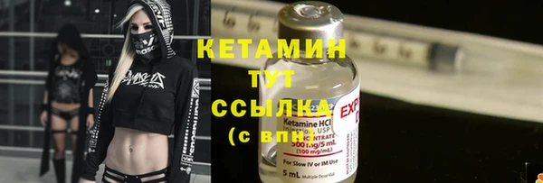 ECSTASY Гусь-Хрустальный