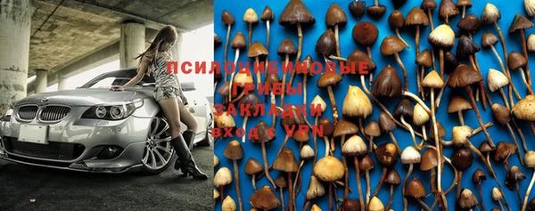 прущая мука Гусев