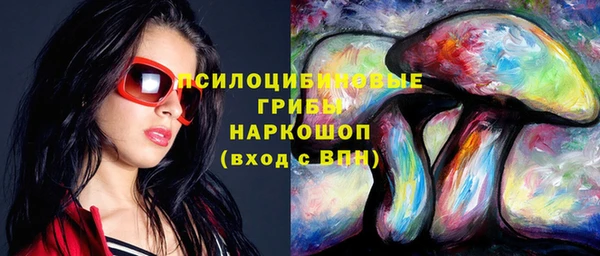 ECSTASY Гусь-Хрустальный