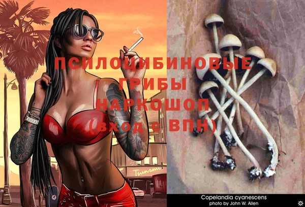 мдпв Дмитров