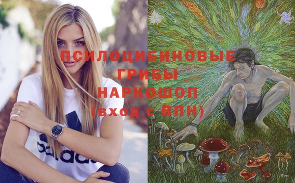 прущая мука Гусев