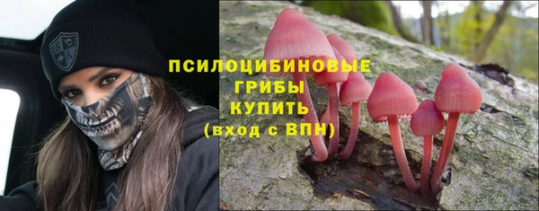 мяу мяу мука Гусиноозёрск