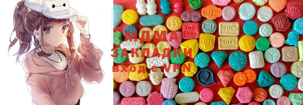 ECSTASY Гусь-Хрустальный